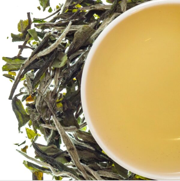 Darjeeling White Tea – Pure Himalayan Grace